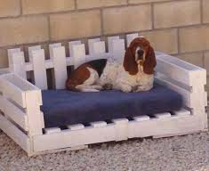 Pet Bed Project